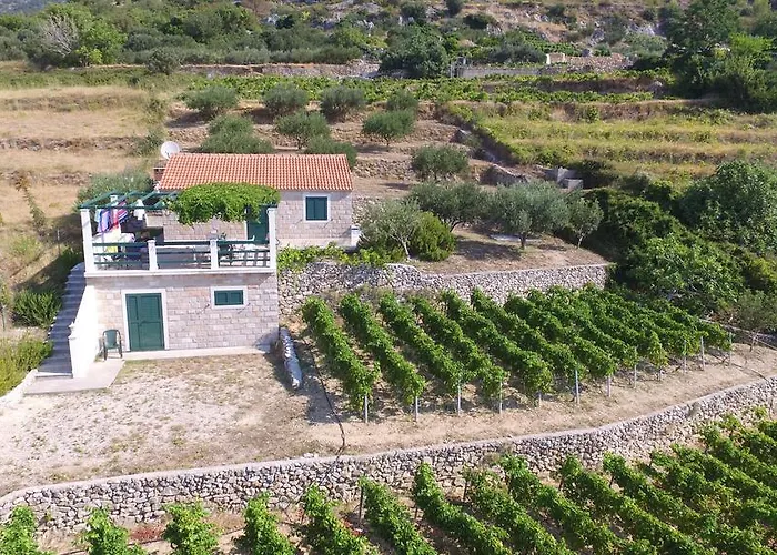 Holiday Home Vineyard House